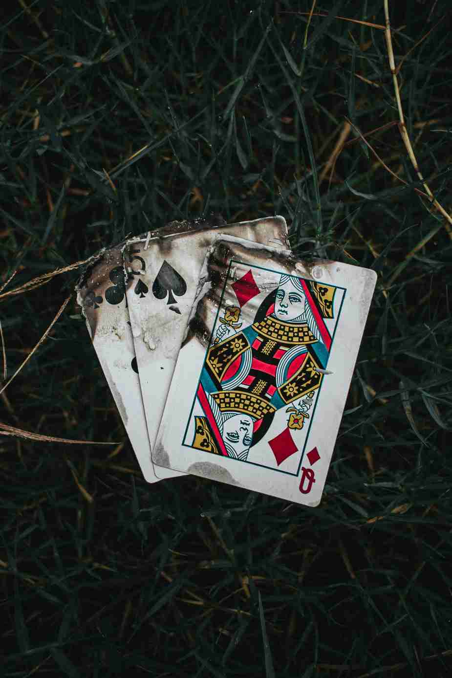 spinlander-casinos.com